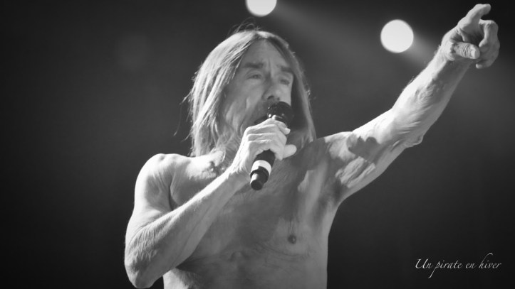 1-20160701_Main_Square_2016_Iggy-Pop (17)_Fashion2