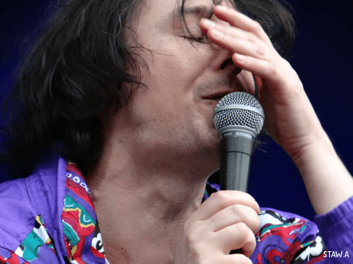 bison bisou chanteur 2